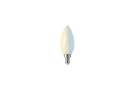 B11 Slimme Bulbs (2200-6500K)